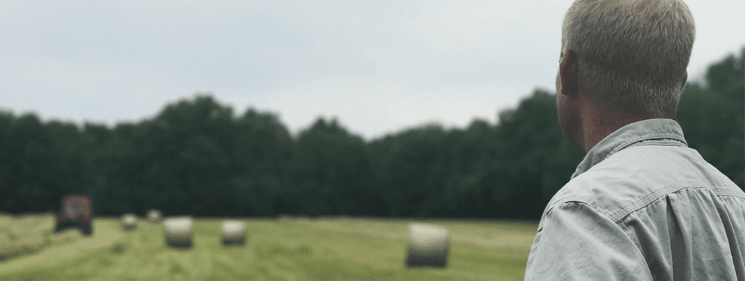 Ice Cream Cones, Soybeans, Rain and Beetles