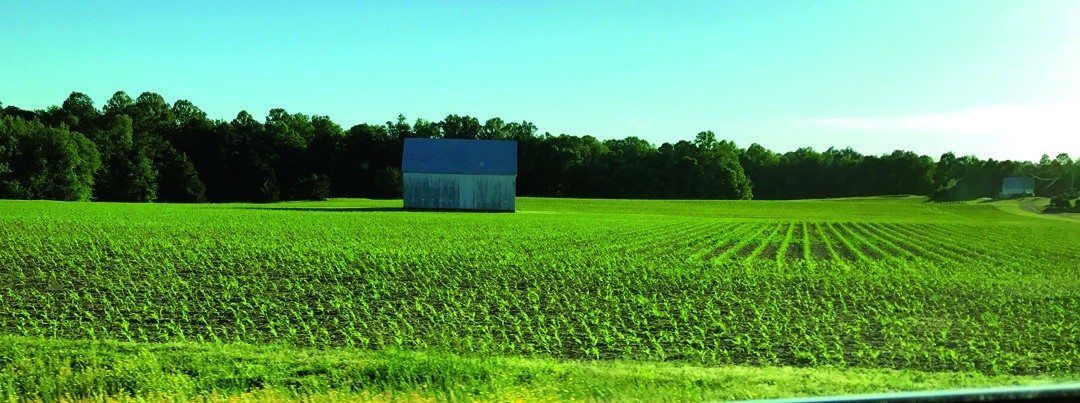 4 things you won’t find on Maryland food labels