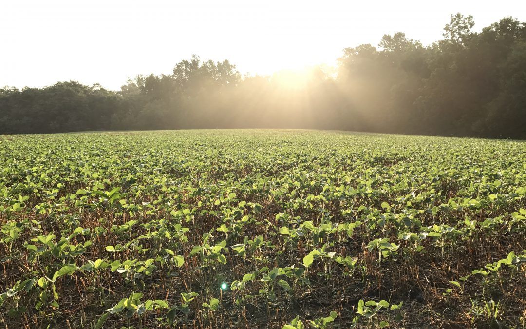 It’s an awesome place to be, so I want to give back