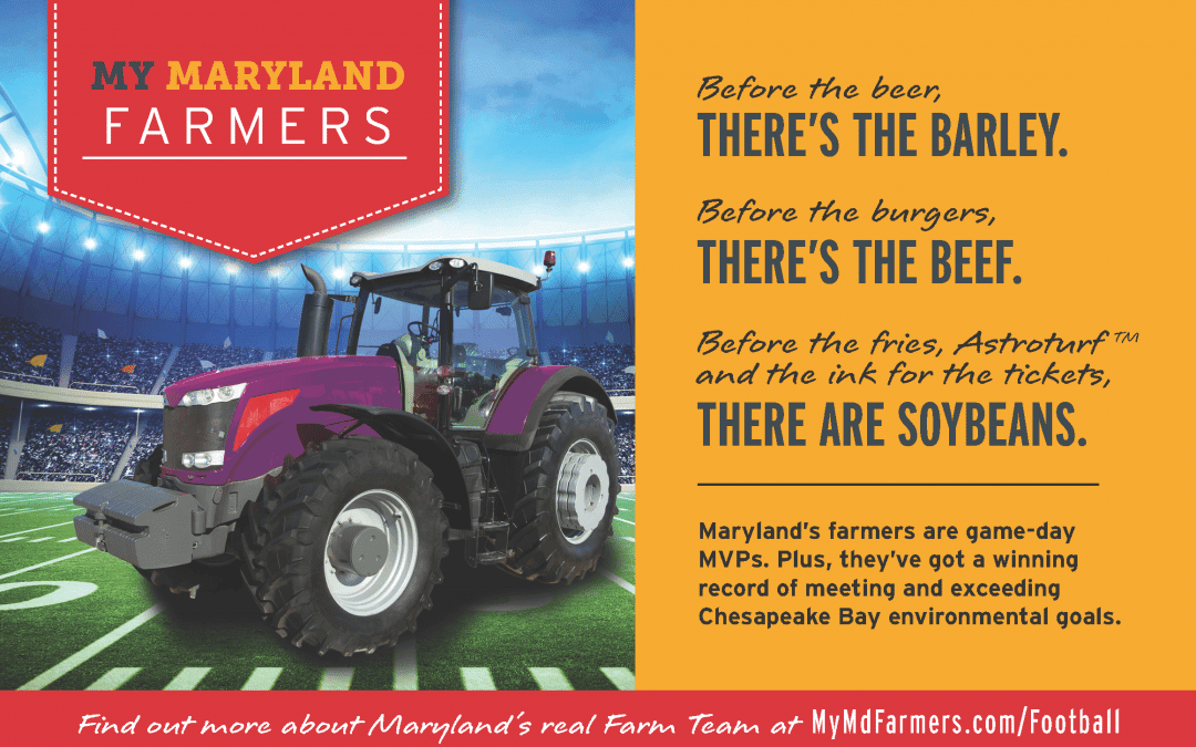 The Real Hometown Farm Team