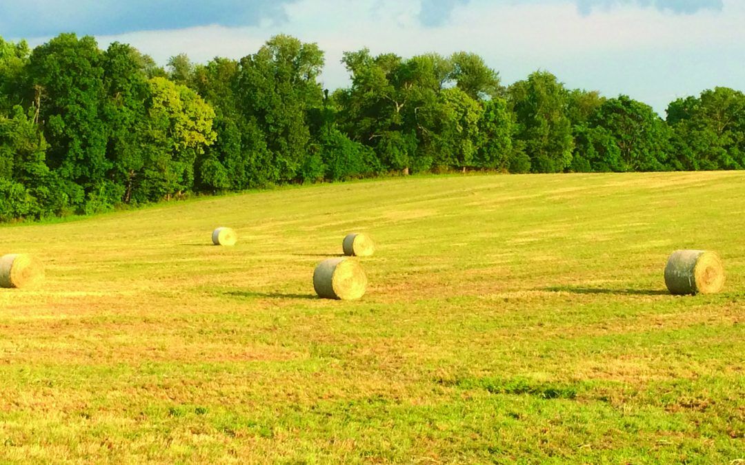 Do Farmers Ever Get to Take a Vacation? What Do They Do?