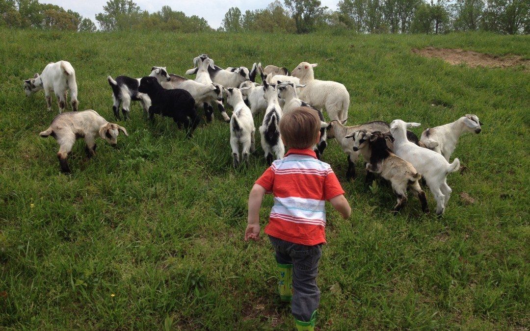 Young Farming Family Keeps Agricultural Tradition Alive in Southern Maryland