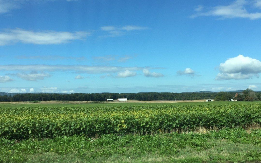 We Caught Maryland Farmers Doing This – Then We Found Out Our Schools Do It, Too!