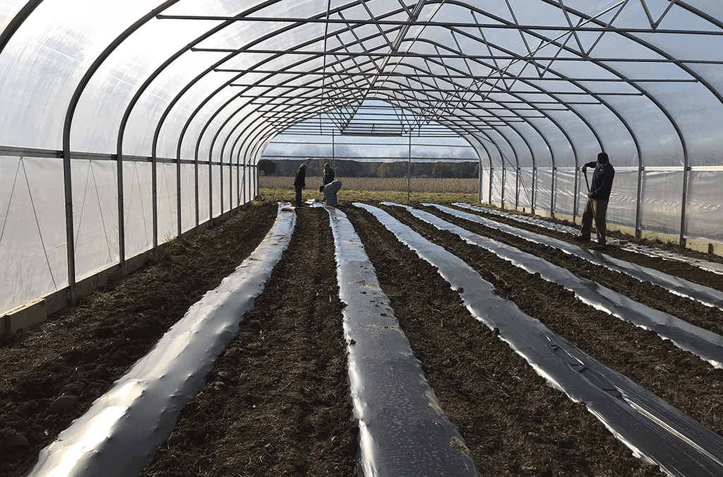 What Do Farmers Do in the Winter?