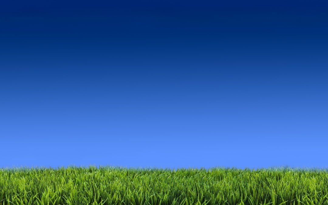 Lawns 101: The 10 Best Practices for Healthy Lawns and Water