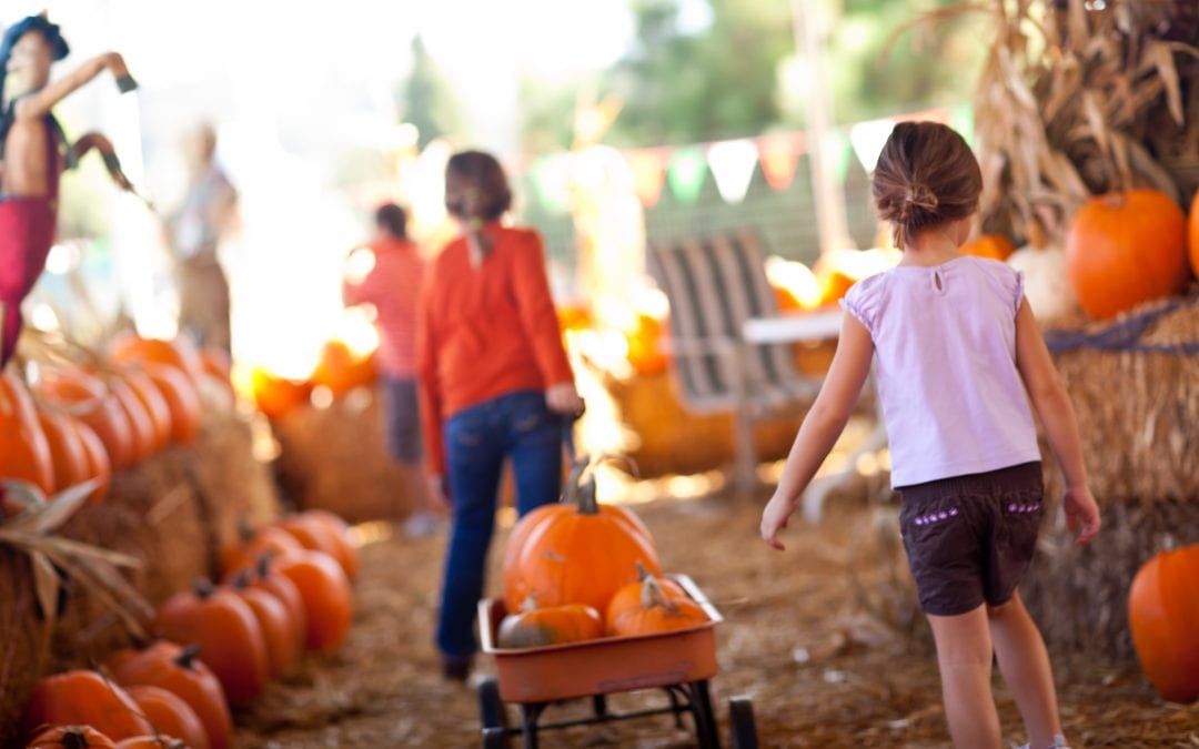 Fall Food and Fun on the Maryland Farm
