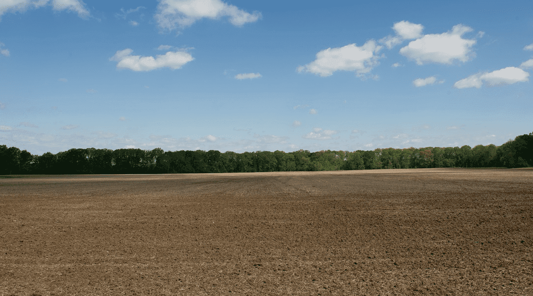 Why Maryland Leads the Nation in “Trash Farming”