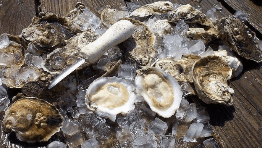 Maryland Oysters “Go Hollywood”
