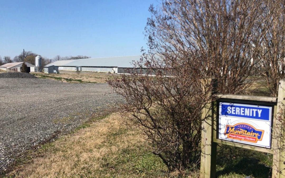 Lure of Livestock Draws Family to Farming