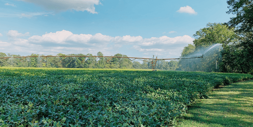 Quenching a Farm’s Thirsty Crops