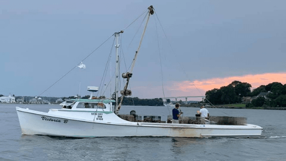 Sensational Seafood Saturdays