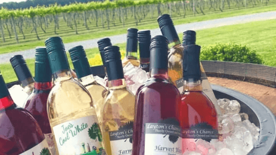 Innovation is Key to Winery’s Success During Pandemic