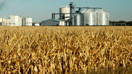 Maryland Farmers Fight Air Pollution with Renewable Fuels