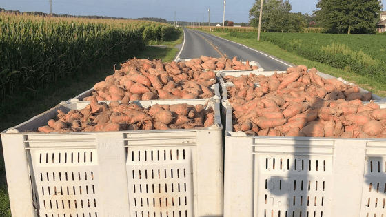 Back to School on the Farm