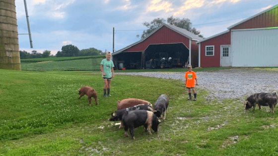 Virtual Competition Showcases Maryland’s Youth