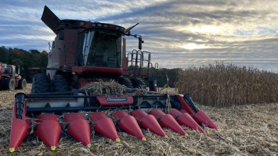 Farming Beyond the Fields