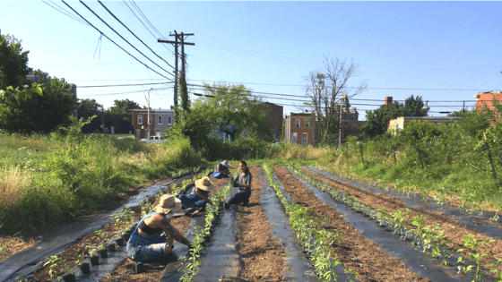 Farming is Closer than You Think