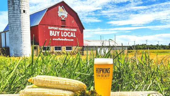 Something’s Brewing on the Farm