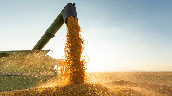 You Won’t Believe What Soybeans Can Make