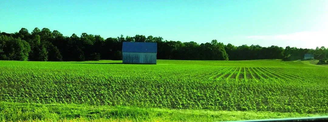 4 things you won’t find on Maryland food labels