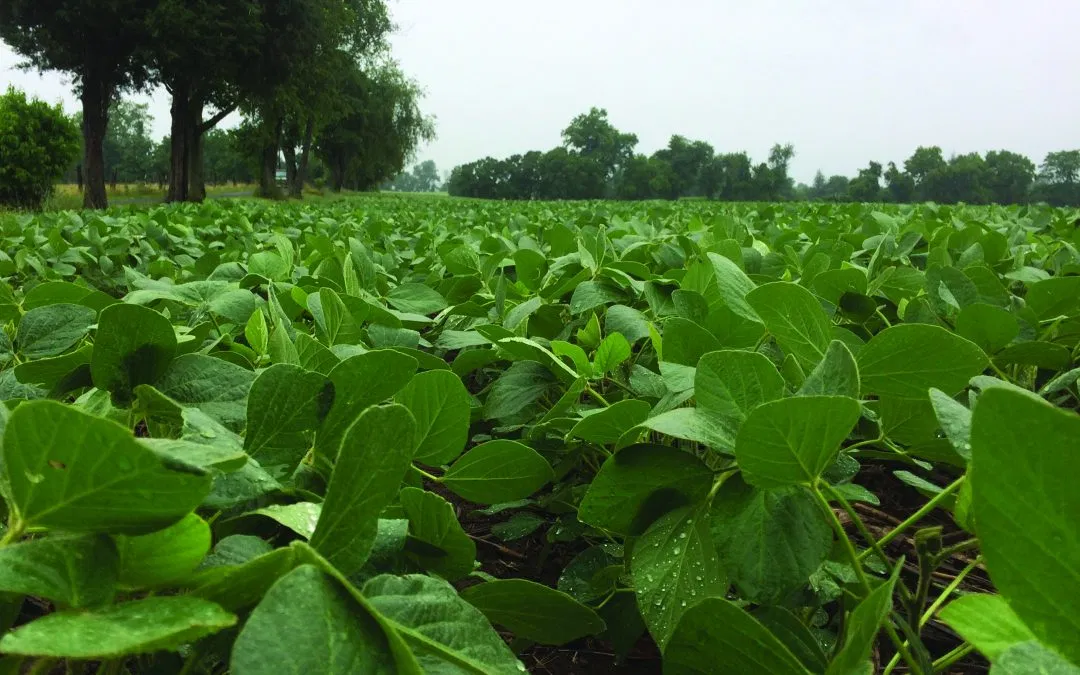 Farming at the Mercy of Nature