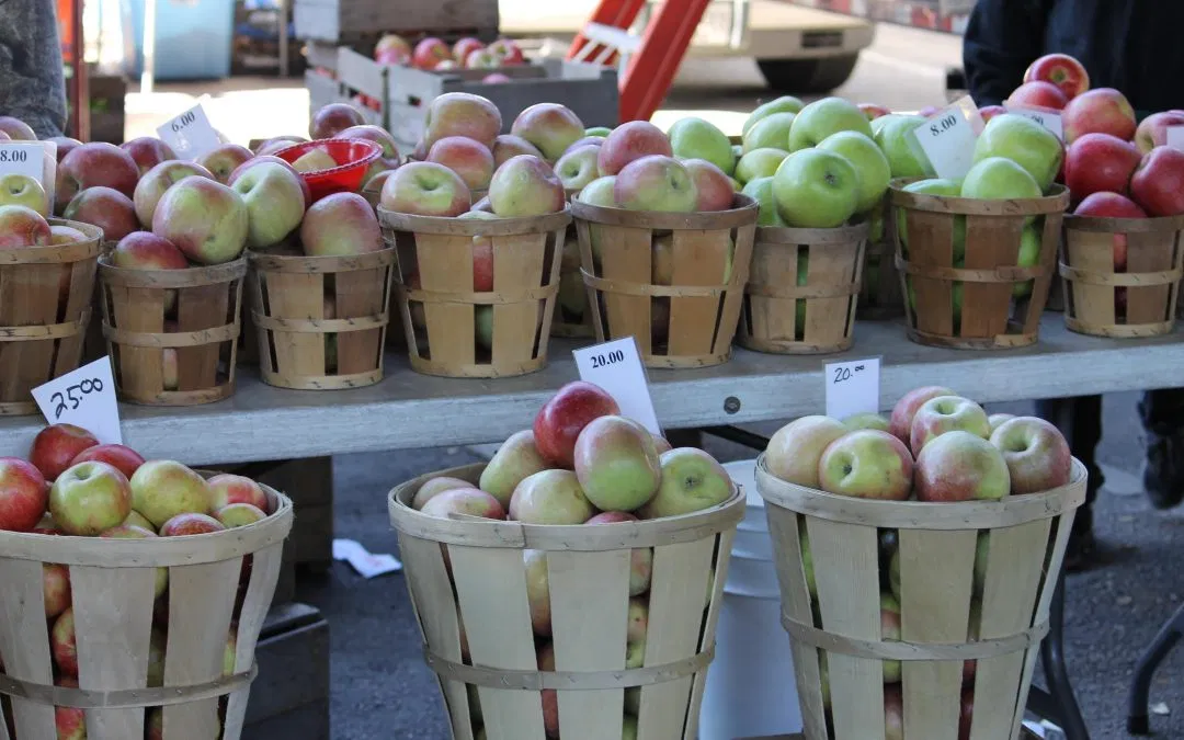 Insider’s Guide to Maryland Farmer’s Markets: Fall Edition