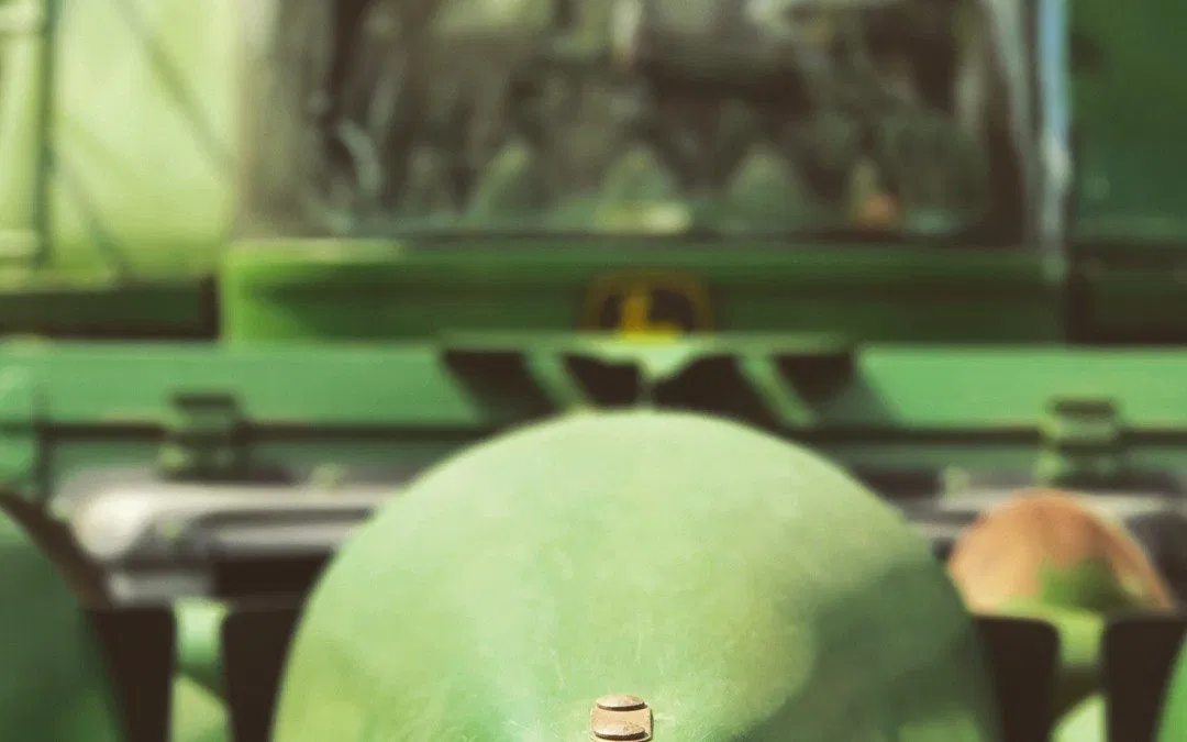 The Surprising Link Between GMOs and the Chesapeake Bay