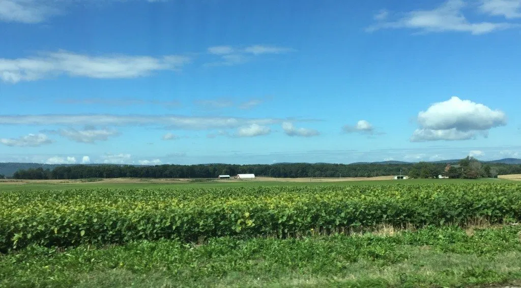 Integrated Pest Management