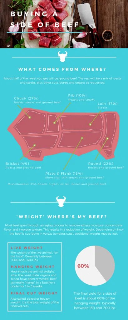 Side of beef infographic
