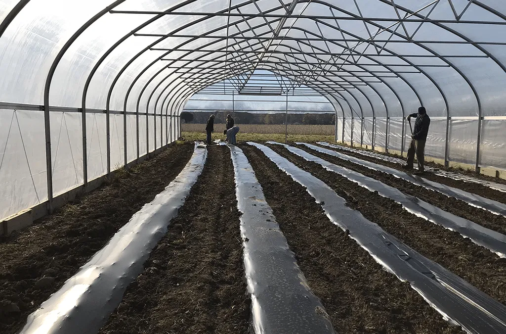 What Do Farmers Do in the Winter?