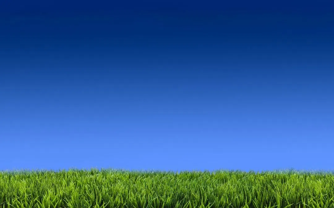 Lawns 101: The 10 Best Practices for Healthy Lawns and Water