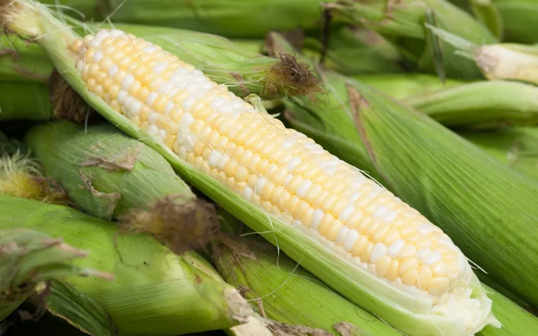 8 Tips for Rocking Maryland’s Best on Your Table This Summer