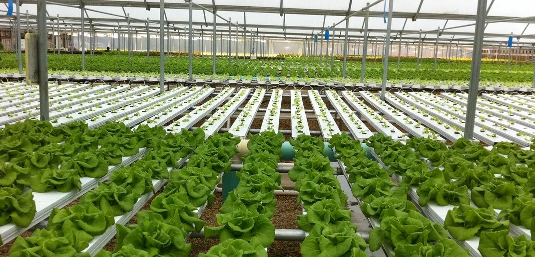 The Future of Ag is in Good Hands