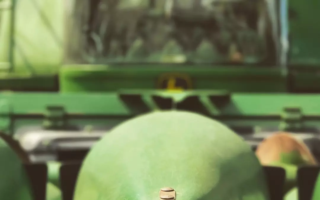 The Surprising Link Between GMOs and the Chesapeake Bay