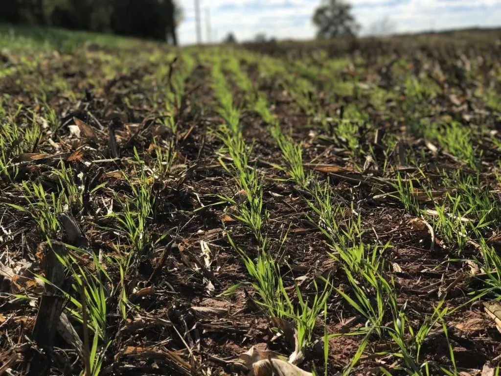 Nutrient Management