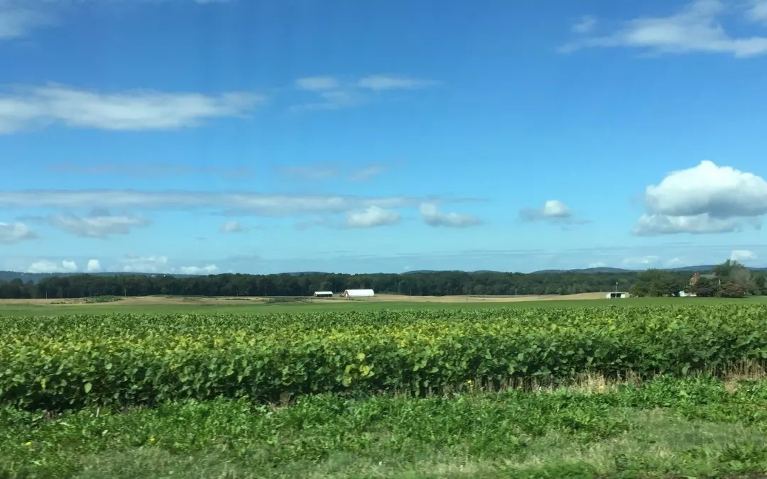 We Caught Maryland Farmers Doing This – Then We Found Out Our Schools Do It, Too!