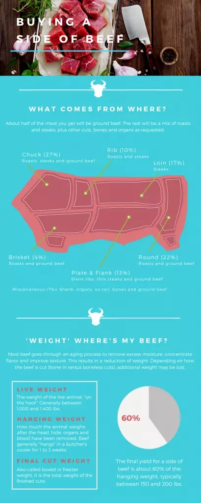 Side of beef infographic
