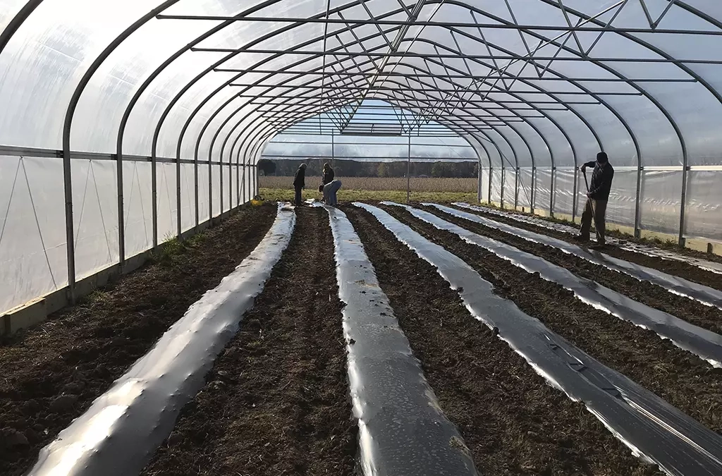 What Do Farmers Do in the Winter?