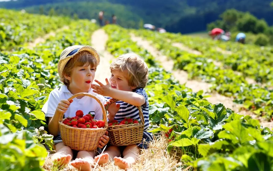 Summer Kid Solutions: Make Maryland’s Best Your Best Friend