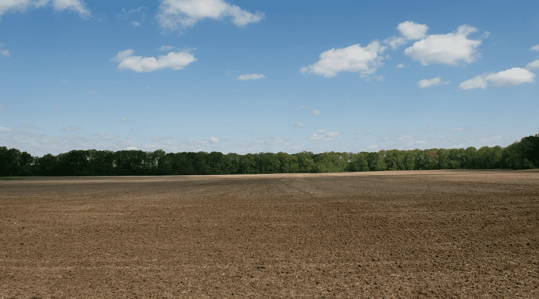 Why Maryland Leads the Nation in “Trash Farming”