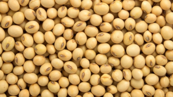 BLOG New Uses for Soybeans (1)