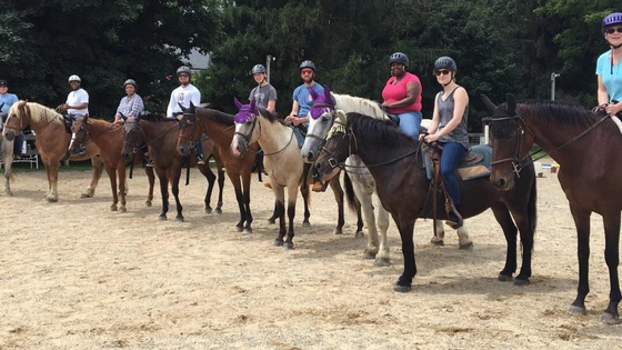 435651020-blog-horse-industry-1