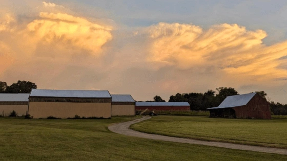 Century Farm