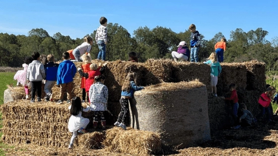 Strohmer's Fall Fest (1)