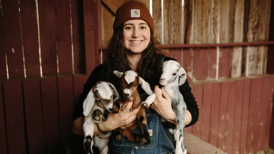 Baby Goats