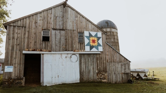 Dallam Farm