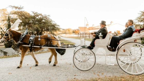A Centuries-Old Farm Marries Love and Agriculture