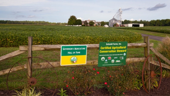 My Maryland Farmers Food Lingo (1)