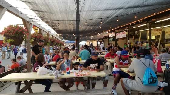 My Maryland Farmers State Fair (1)