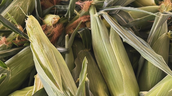 How Sweet It Is! Or Isn’t.